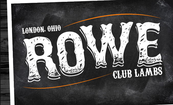 Rowe Club Lambs