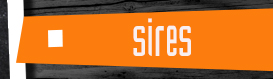 Sires