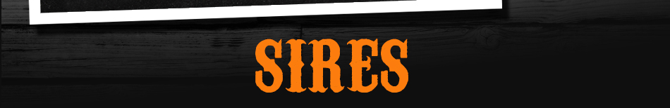 Sires