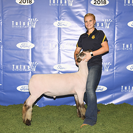 RoweClub Lambs Winners