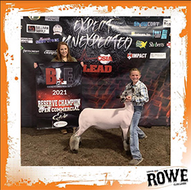 Rowe Club Lambs Winners