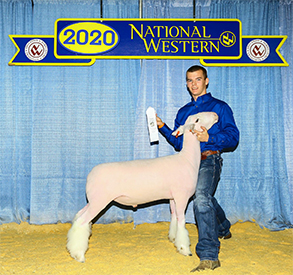RoweClub Lambs Winners