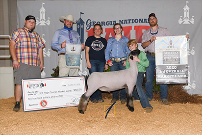 Rowe Club Lambs Winners