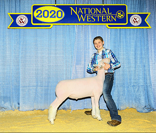 RoweClub Lambs Winners